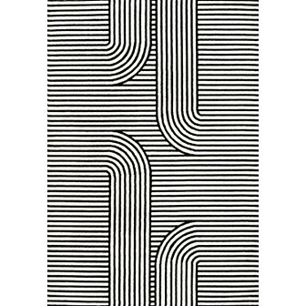 Anders High-low Midcentury Modern Arch Stripe Two-tone Indoor/outdoor Area Rug
