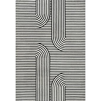 Anders High-low Midcentury Modern Arch Stripe Two-tone Indoor/outdoor Area Rug