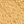 Sahara