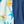 Blue Sea Animals