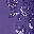 Midnight Violet