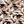 Taupe Multi