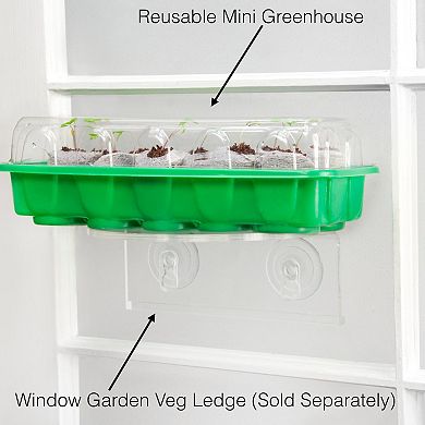 Vegetable Starter Kit To Grow Your Own Food, Germinate Seeds On Your Windowsill