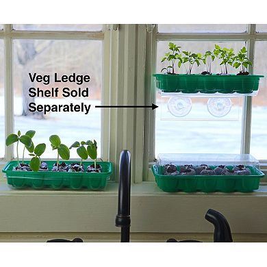 Vegetable Starter Kit To Grow Your Own Food, Germinate Seeds On Your Windowsill