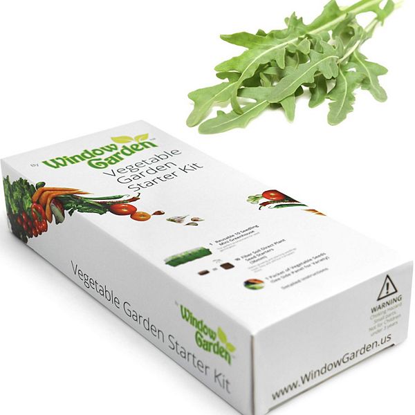 Vegetable Starter Kit To Grow Your Own Food, Germinate Seeds On Your Windowsill - Green