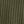 Dark Olive Green