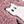 Ghost Cat