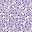 Purple Floral