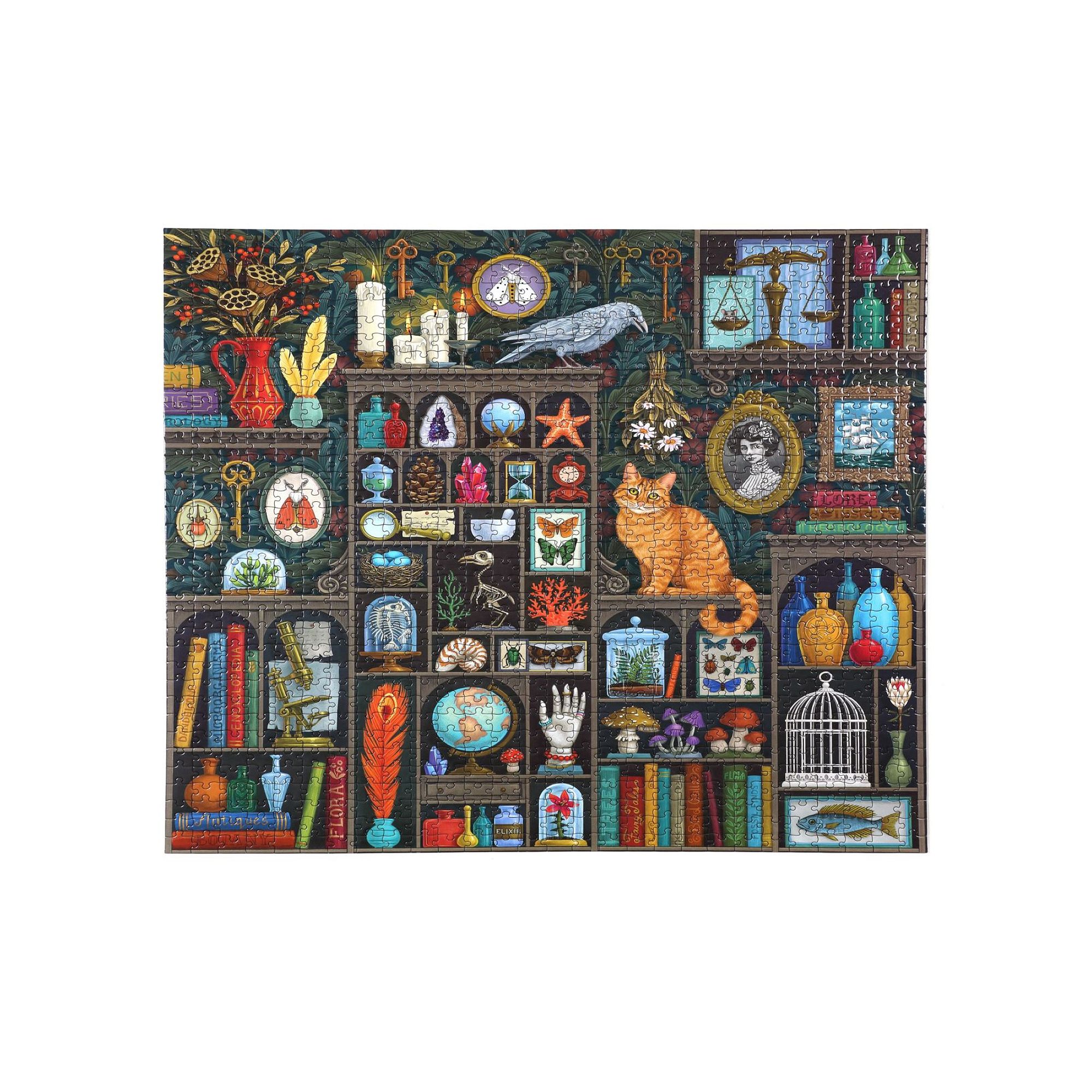 eeboo Piece and Love Alchemist Cabinet 1000 Piece Square Jigsaw Puzzle, Mul
