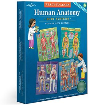 eeboo Ready to Learn: Human Anatomy Body Systems Jigsaw Puzzle Set of 4