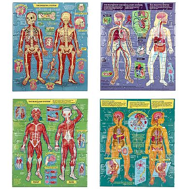 eeboo Ready to Learn: Human Anatomy Body Systems Jigsaw Puzzle Set of 4