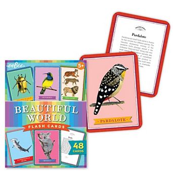 eeboo Beautiful World Educational Flash Cards