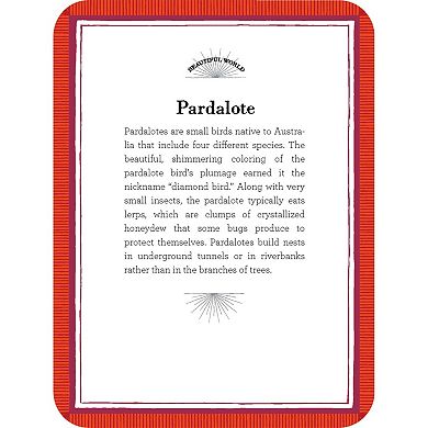 eeboo Beautiful World Educational Flash Cards