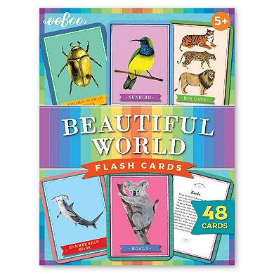 eeboo Beautiful World Educational Flash Cards
