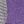 Purple And  Grey