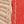 Scarlet Red And  Khaki