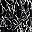 Black Josefina Floral