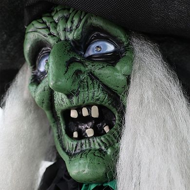 Haunted Hill Lifesize Witch Prop with Lights and Sound, Indoor/Covered Outdoor Halloween Decoration