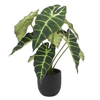 Artificial Alocasia Plant in Black Planter