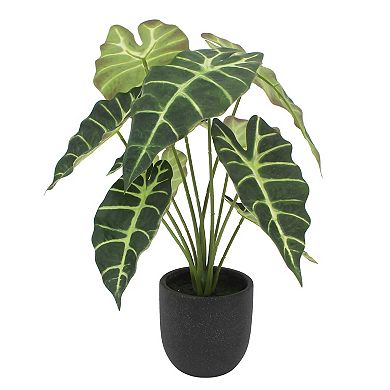 Artificial Alocasia Plant in Black Planter