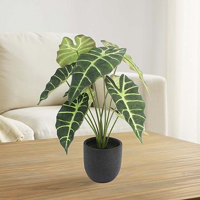 Artificial Alocasia Plant in Black Planter