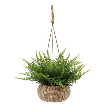 Everyday Decor Green Fern In Hanging Basket