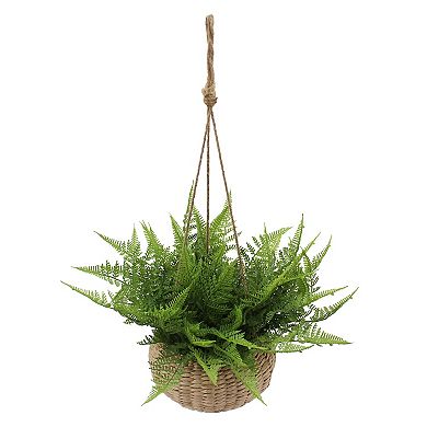 Everyday Decor Green Fern In Hanging Basket