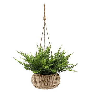 Everyday Decor Green Fern In Hanging Basket