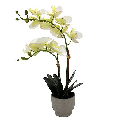 Artificial White Orchid in Ceramic Planter Table Decor