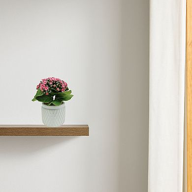 Artificial Pink Kalanchoe in White Textured Pot Table Décor