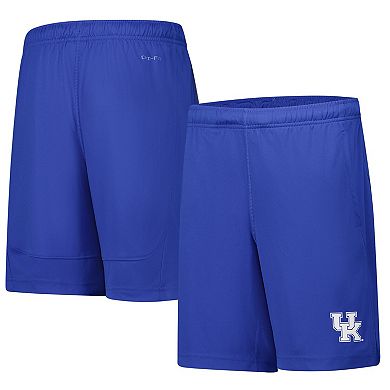 Youth Nike Royal Kentucky Wildcats Fly Performance Shorts