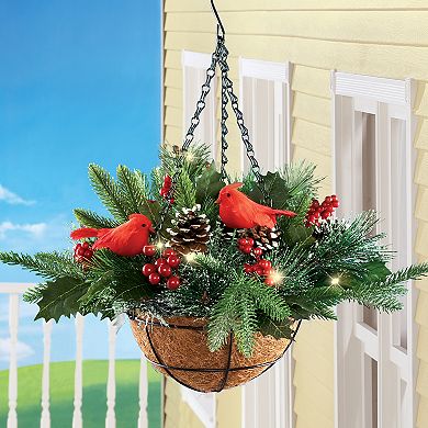 LED Lighted Frosted Pine Tabletop Tree | Collections Etc