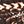 Coffee Bean Feather