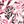 Pink Burst Abstract