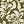 Moss Green Stamp