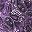 Purple Garden Paisley