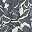 Dusk Graphic Orchid