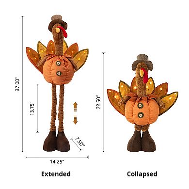 Glitzhome 24''H Fabric Lighted Thanksgiving Turkey, Standing Turkey for Indoor Table Decor