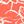 Red Floral Graphic