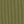 Soft Olive