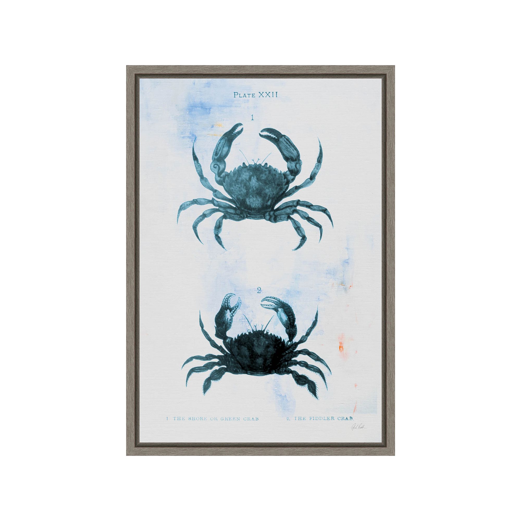 Amanti Art Blue Bay IV by Deborah Revell Canvas Wall Art, Gray