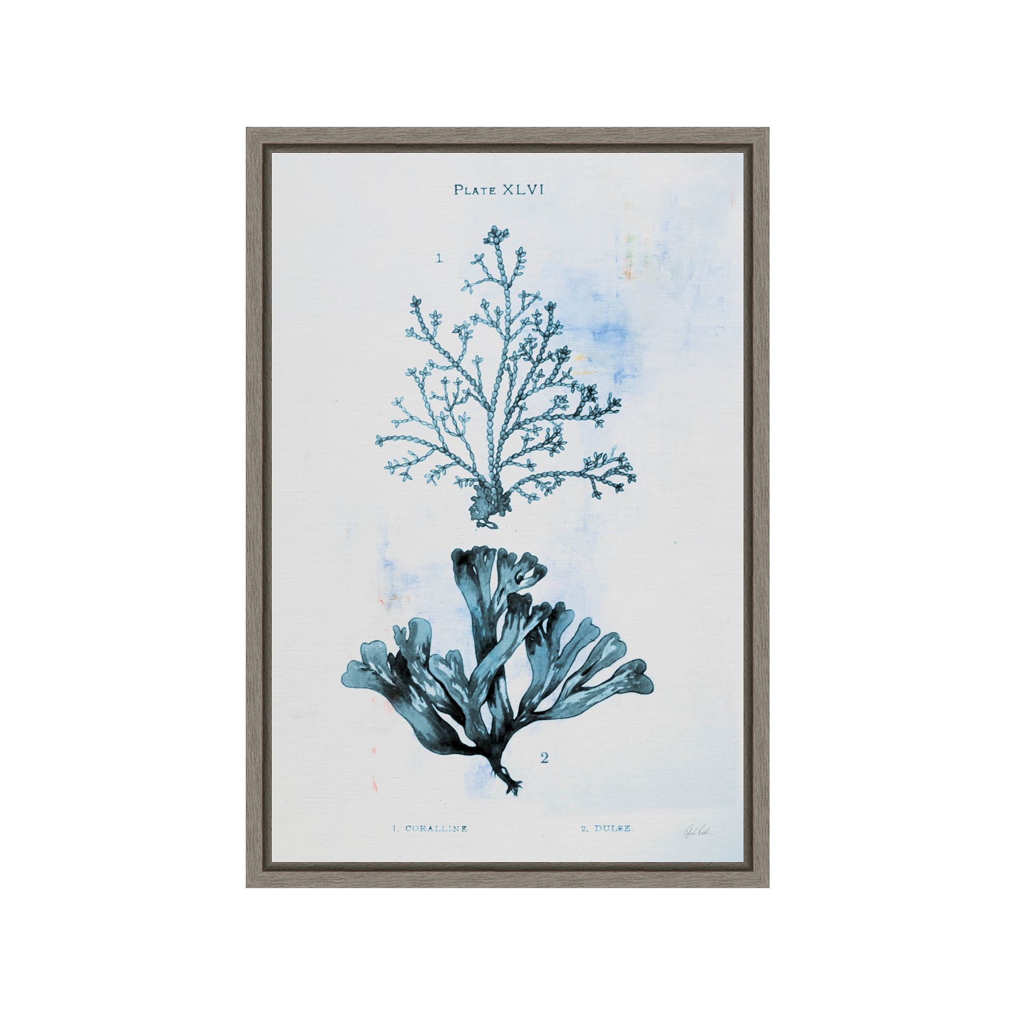 Amanti Art Blue Bay VIII by Deborah Revell Canvas Wall Art, Gray