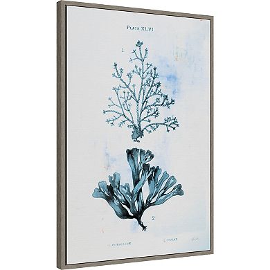 Amanti Art Blue Bay VIII by Deborah Revell Canvas Wall Art