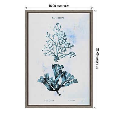 Amanti Art Blue Bay VIII by Deborah Revell Canvas Wall Art