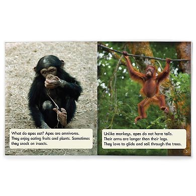 Junior Learning STEM Sound Families: Non-Fiction Phase 5.5 - Long Vowels