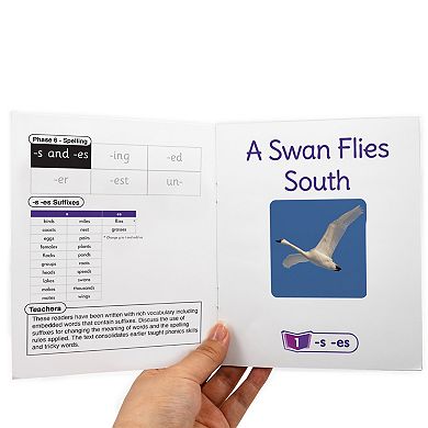 Junior Learning Fix Its Suffixes: Non-Fiction Phase 6
