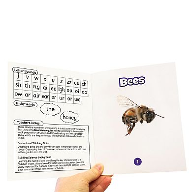 Junior Learning Science Decodables: Phase 3 Non-Fiction