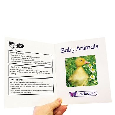 Junior Learning Letters & Sounds Phase 1 Set 2 Non-Fiction Series