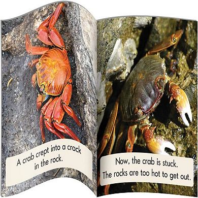 Junior Learning Blend Readers Non-Fiction Series