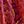 Red Patchwork